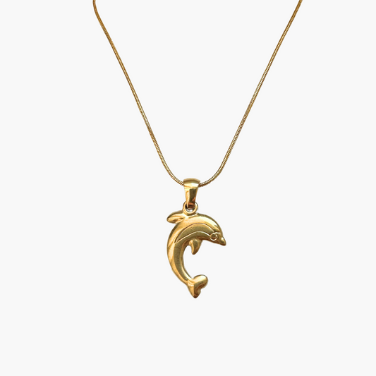 Delfin Halskette vor weißem Hintergrund